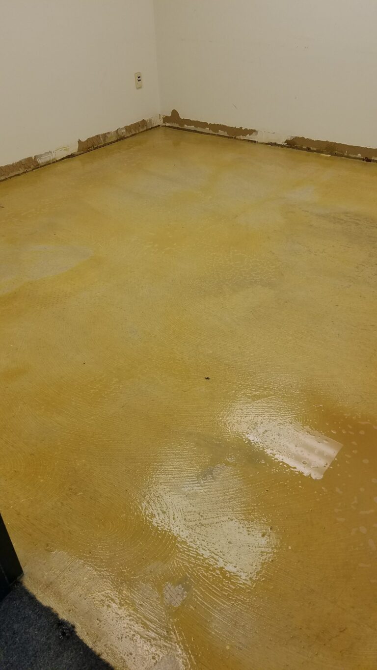 Cleaned Floor gallery photo before